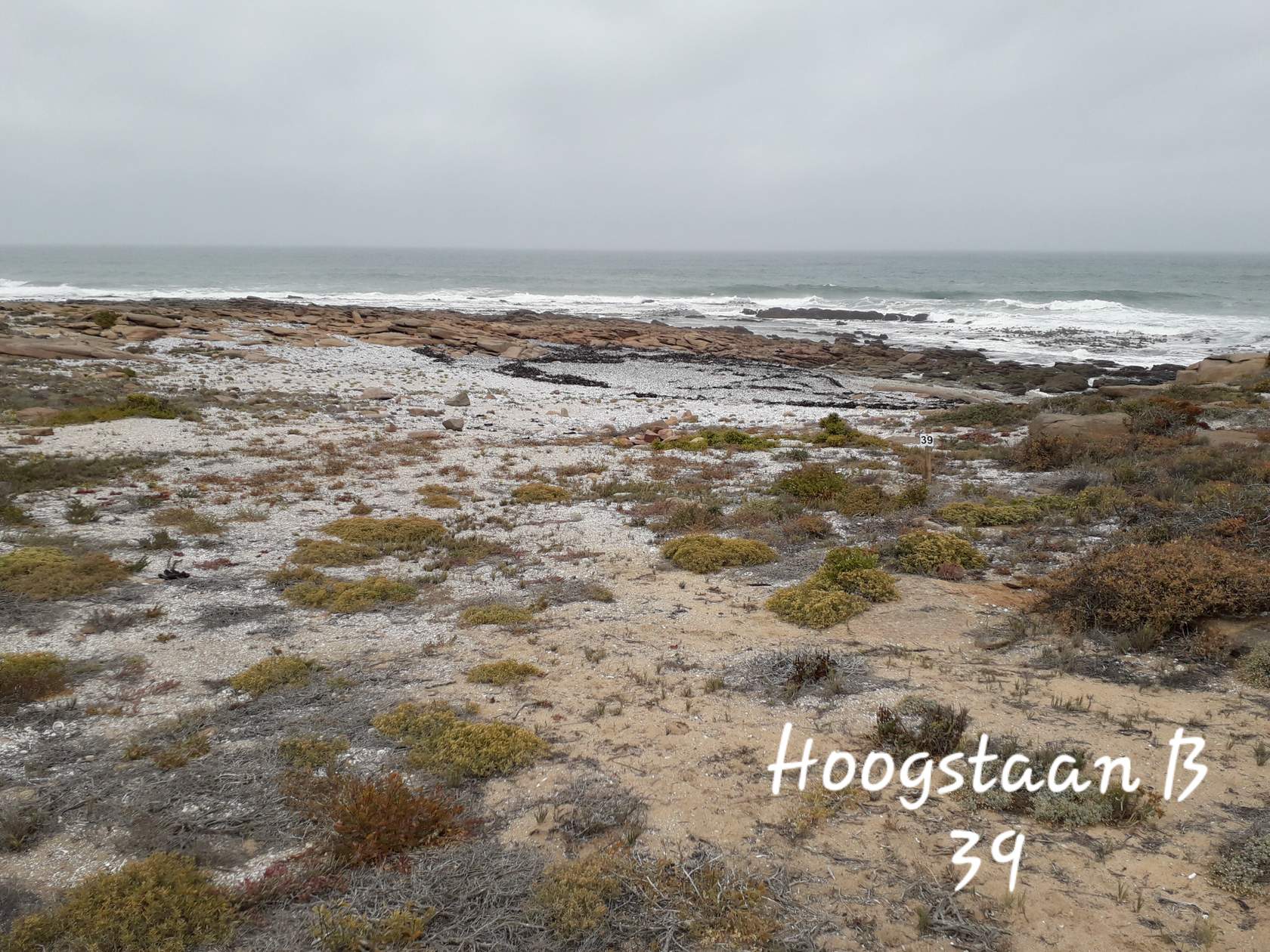 hoogstaan 39