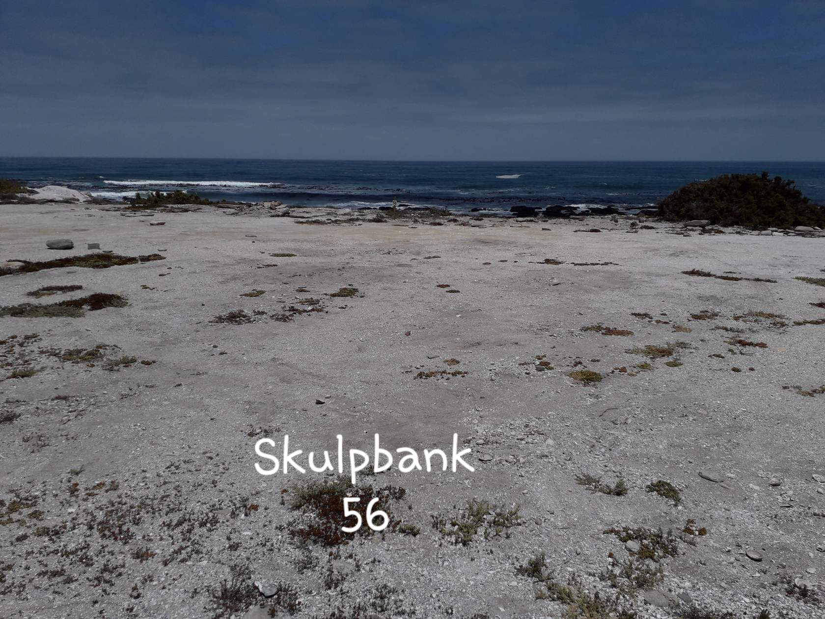 skulpbank 56