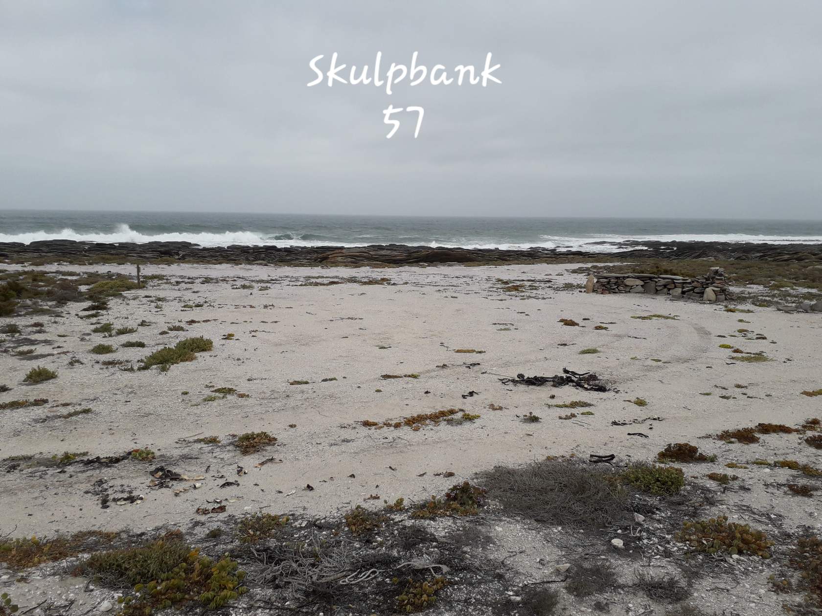 skulpbank 57