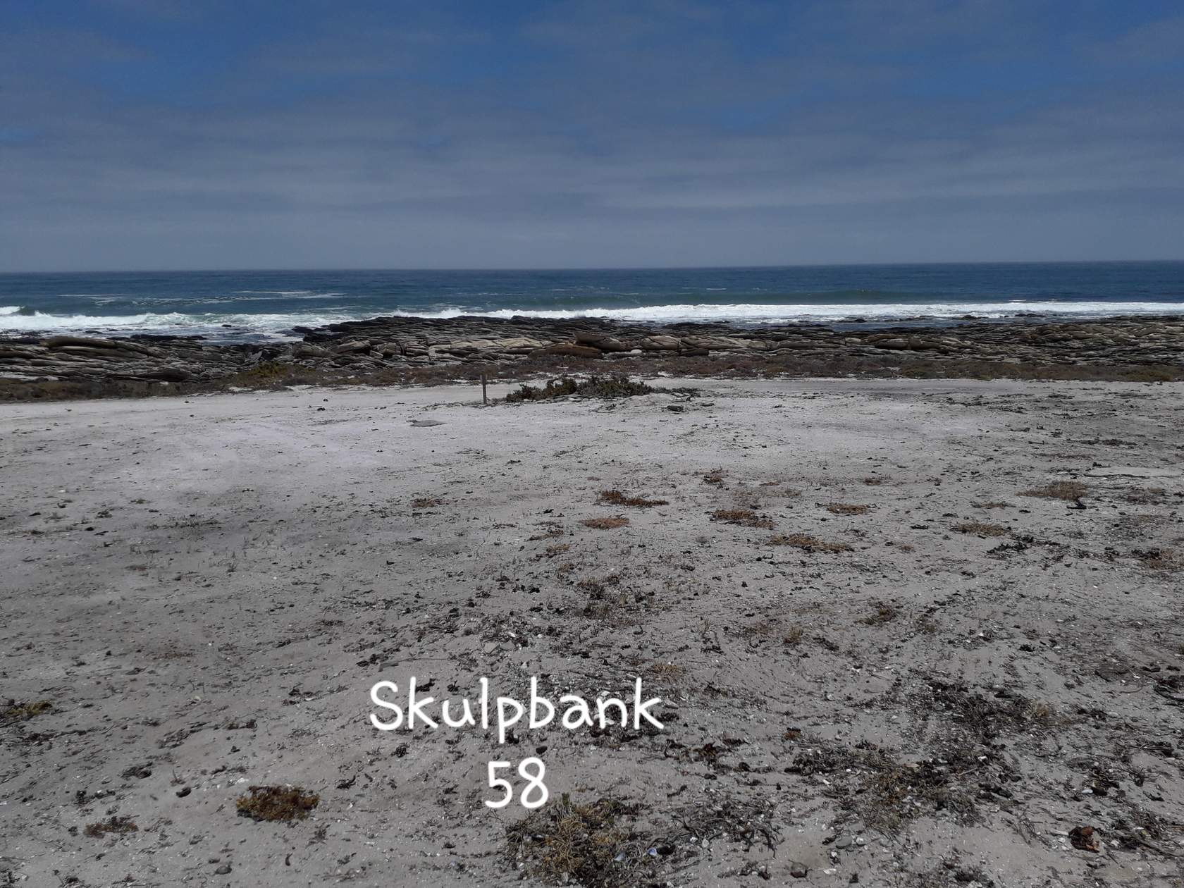 skulpbank 58